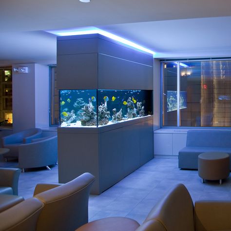 aquarium-intégré-salon-idées-éclairage-led-bleu aquarium dans le salon Aquarium Mural, 80s Office, Fish Tank Wall, Large Aquarium, Custom Aquarium, Wall Aquarium, Amazing Aquariums, Fish Tank Design, Glass Aquarium