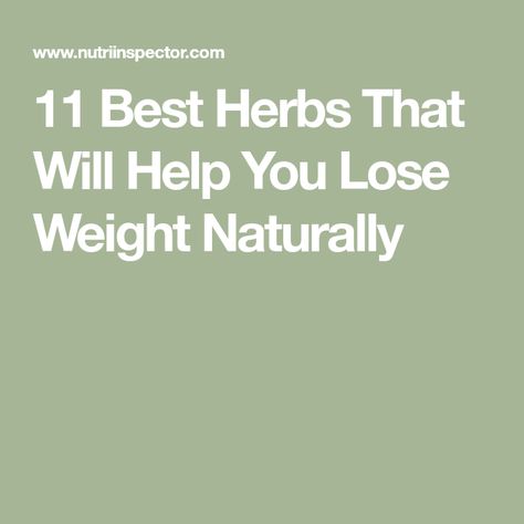 11 Best Herbs That Will Help You Lose Weight Naturally Losing Weight Herbs, Herbs For Weight Management, Become Productive, Food Dehydration, Functional Health, Medicinal Herbs Garden, Herbs Garden, Help Losing Weight, Organic Health