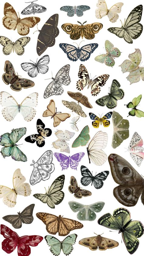 #butterfly #moth #background #insect #bug #collage Moth Background, Bug Collage, Insect Collage, Collage Cutouts, Bullet Journel, Scrapbook Printing, Scrapbook Background, Fashion Illustration Dresses, Handwritten Letters