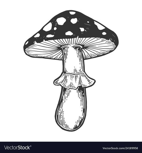 Hongo Tattoo, Black And White Mushroom, Amanita Mushroom, Mushroom Plant, Mushroom Tattoos, Mushroom Drawing, Desenho Tattoo, Mushroom Art, Flash Art