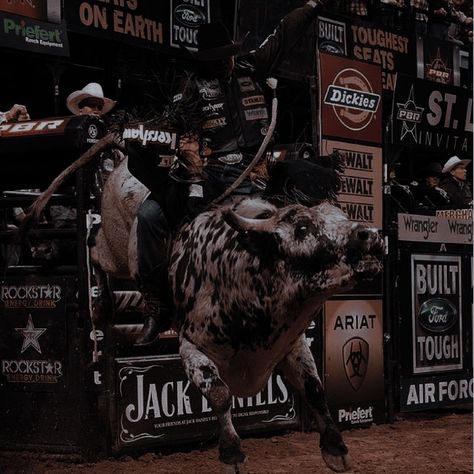 Dark Academia Cowboy, Theo Silva Aesthetic, The Longest Ride Aesthetic, Bullrider Aesthetic, Cowboy Love Aesthetic, Reckless Elsie Silver Aesthetic, Reckless Elsie Silver, Yellowstone Aesthetic, Rodeo Aesthetic