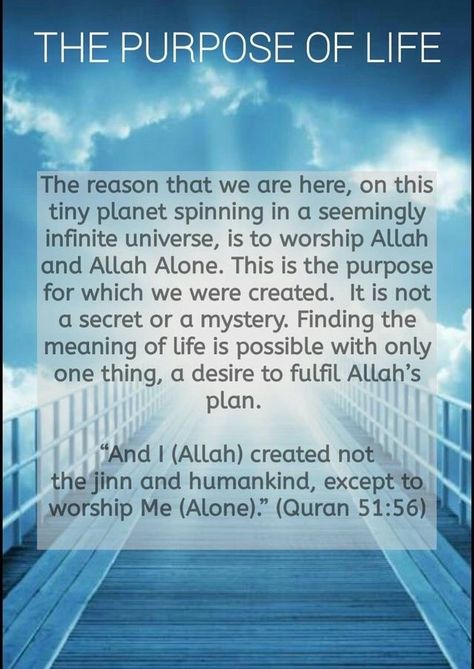 Islamic Way Of Life, Purpose Of Life In Islam, What Is Written For You Islam, Numerology 111, Knowledge Islam Quotes, Allahs Plan Is Better, Purpose Quotes, Islam Quotes About Life, Life Questions