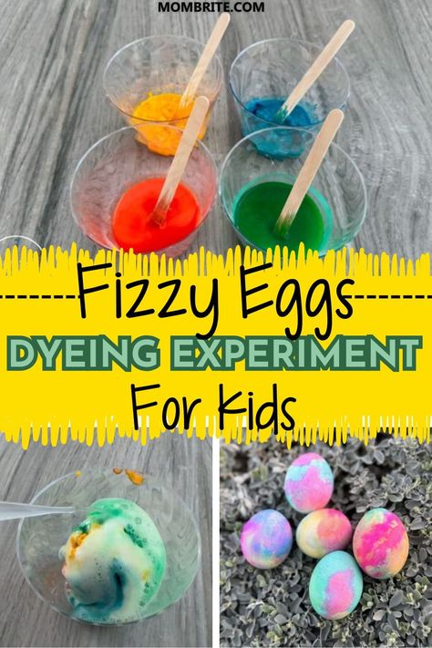 Get ready to embark on a science-filled adventure with our Easy Fizzy Egg Dyeing Science Experiment! This fun, hands-on activity combines the magical properties of baking soda and vinegar to create stunning dye patterns on ordinary eggs. So roll up your sleeves and get cracking, because we've got some fizzing good times ahead! Easter Activities For Preschool, Egg Dye, Natural Food Coloring, Fizzy Drink, Lego Activities, Easter Egg Designs, Stem Science, Mommy Blog, Egg Designs