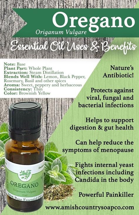 Benefits Of Oregano Oil Capsules, Wild Oregano Oil Benefits, Oregano Essential Oil Benefits, How To Take Oregano Oil Internally, Oregano Tincture Benefits, Oregano Oil Benefits How To Use, Oregano Oil Benefits Internal, Oil Of Oregano Benefits How To Use, Oregano Oil Uses