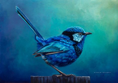 Blue Fairy Wren, Bird Of The Year! Original Oil Painting by Nicola McLeay Blue Wren Painting, Felt Needling, Pastel Animals, Portfolio Moodboard, Fairy Wrens, Wren Bird, Blue Wren, Teal Bird, Fairy Wren