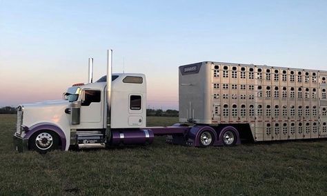 Cattle Trucks, Custom Big Rig, Livestock Trailers, Amazon Book, Truck Transport, Book Promotion, Custom Big Rigs, Broccoli Casserole, Kenworth Trucks