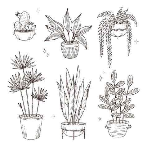 Plant Sketches, Plant Doodle, House Plant Pots, Plant Tattoo, Plant Vector, Plant Drawing, Outline Art, Outline Drawings, Black Line