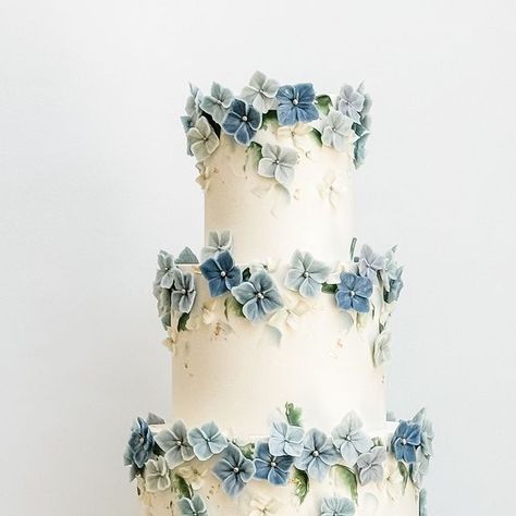 LILA Cake Shop on Instagram: "Hydrangea blossoms in shades of blue for Neesha + Brant 💙✨" Lila Cake, Hydrangea Wedding Cake, Wedding Cake Hydrangea, Hydrangea Cake, Two Tier Cake, Wedding Cakes Blue, Cake Shop, May 27, Tiered Cakes