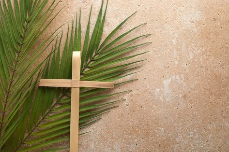 Palm cross and palm leaves palm sunday a... | Premium Photo #Freepik #photo #crucifix #jesus-cross #holy-cross #crucifixion Palm Cross, Cross Background, Palm Branch, Home Health Remedies, Palm Sunday, Jesus Cross, Holy Cross, Cross Tattoo, Easter Day