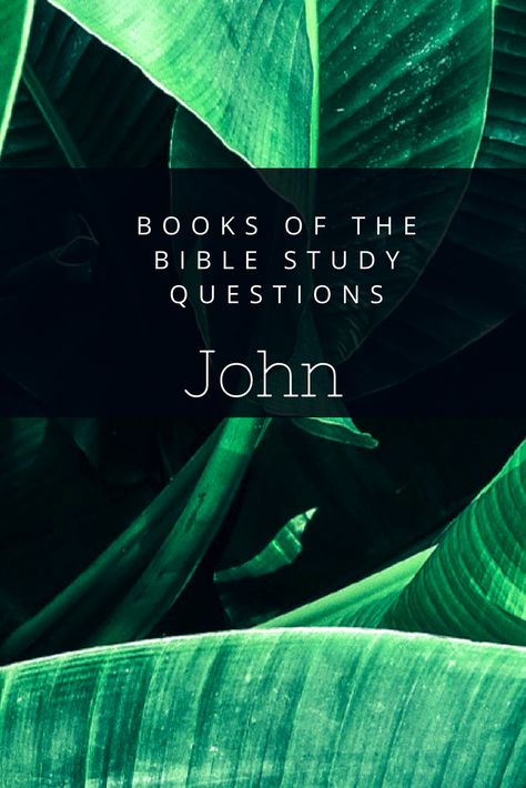 John Bible Study Guide, Bible Study Book Of John, The Book Of John Bible Study, Studying The Book Of John, Book Of John Bible Study Guide, The Book Of John Bible Study Notes, Gospel Of John Bible Study, Book Of John Bible Study, John Bible Study