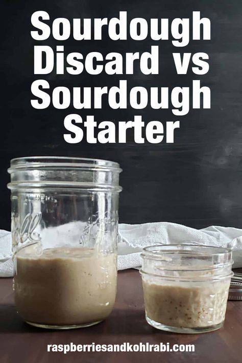 Dough Starter Recipe, Recipe Using Sourdough Starter, Sourdough Bread Starter, Dough Starter, Sourdough Starter Discard Recipe, Gluten Free Sourdough, Homemade Sourdough Bread, Bread Starter, Sourdough Starter Recipe