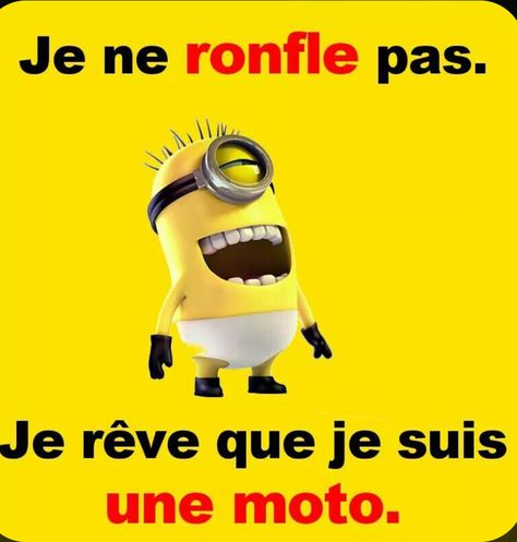 Troll Meme, Minions Quotes, French Quotes, Minions Funny, Good Jokes, Vroom Vroom, Some Words, Funny Photos, Minion