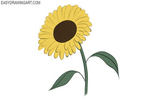 Simple Sunflower Drawing, Sunflower Drawing Ideas, Easy Sunflower Drawing, Sunflowers Drawing, Sketch Guide, Draw A Sunflower, Sunflower Tattoo Simple, Sunflower Sketches, Cute Flower Drawing