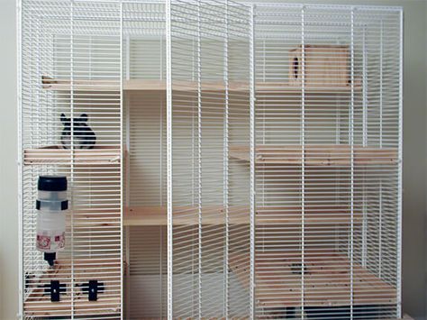 Using metal and wood only, and making the shelves replacable makes it more suitable for chinchillas than any ferret or bird cage. Description from infolific.com. I searched for this on bing.com/images Ferret Diy, Sugar Glider Cage, Chinchilla Cage, Ferret Cage, Rat Cage, Bunny Cages, Parrot Cage, Bunny House, Chinchillas