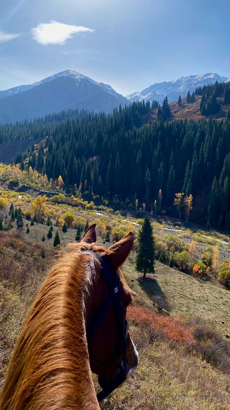 Horse Riding Aesthetic, Pictures With Horses, Colorado Ranch, Mountain Aesthetic, Colorado Summer, Horse Aesthetic, Mountain Travel, Horse Ranch, Colorado Travel