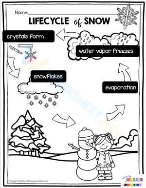 Your children will chill out with this worksheet. Let's try it out! #Grade-2 #Grade-3 #Grade-4 #Grade-5 Life Cycle Of Snow, 4 Grade, Snow Crystal, Lets Try, Grade 4, Grade 5, Grade 3, Grade 2, Life Cycle