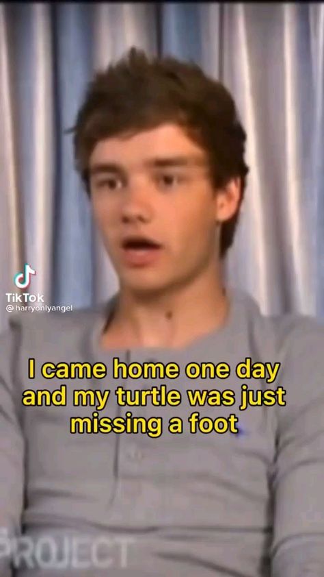 Liam Cute Payne, Cute Liam Payne Pictures, Liam Payne Once Said, Liam Payne Videos, Liam Payne Quotes, Liam Payne Funny, Liam Payne Cute, Funny One Direction, One Direction Drawings