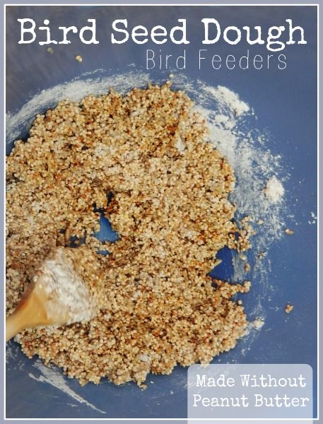 Bird Feeders For Kids To Make, Pine Cone Bird Feeder, Bird Suet, Bird Seed Ornaments, Bird Feeder Craft, Bird Seed Feeders, Homemade Bird Feeders, Bird Treats, Diy Bird Feeder