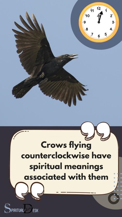 Crows flying counter clockwise hold a deep spiritual significance. In many cultures and traditions, crows are seen as spiritual animals, often associated with life mysteries and magic. When seen flying counter clockwise, it is believed to symbolize an impending change or transformation in your life. #fly #flying #culture #change Crow Meaning, Flying Crows, Crows Flying, Spiritual Animals, Group Of Crows, Flock Of Crows, Crow Flying, Counter Clockwise, Spiritual Animal