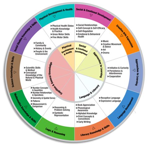 Head Start Curriculum Framework | covering the Missouri Counties of Caldwell, Daviess, Grundy, Harrison ... Family Advocate, Early Head Start, Professional Organization, Family Music, Social Emotional Development, Creative Curriculum, Curriculum Development, Family Engagement, Green Hills