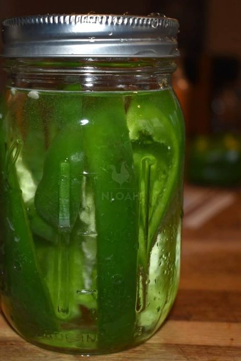 Can Bell Peppers, How To Can Green Bell Peppers, Canned Green Peppers, How To Can Sweet Peppers, Can Green Peppers, Pickled Green Peppers Recipe, Canning Green Peppers, Canned Peppers, Canning Bell Peppers