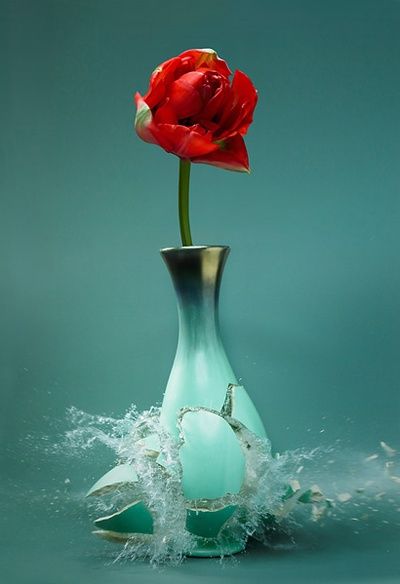 Aqua & Red Martin Klimas, Broken Vase, High Speed Photography, Red Cottage, Shades Of Teal, Red And Teal, Red Turquoise, Aqua Turquoise, Arte Floral