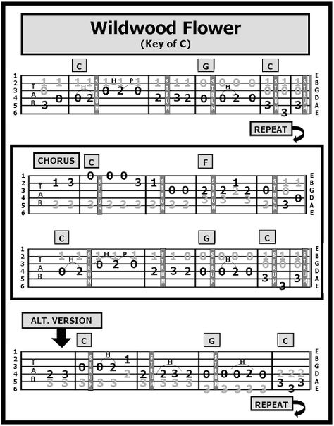 Guitar TAB Songs Learning Mandolin, Guitar Notes Chart, Mandolin Songs, Dueling Banjos, Banjo Tabs, Wildwood Flower, Guitar Chord Progressions, Music Theory Guitar, Easy Guitar Songs