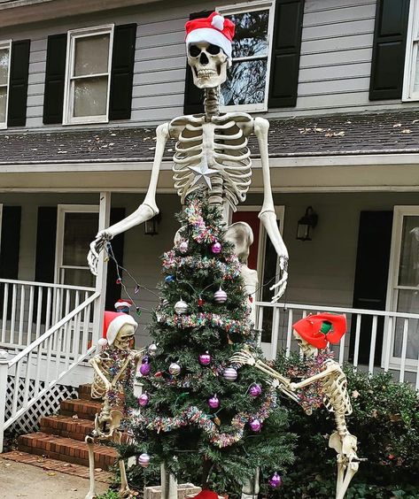 Home Depot's $300 Giant Skeleton Is Now Christmas Decor Cutest Kitchen, Christmas World, Home Depot Halloween, Skeleton Decorations, Outdoor Skeleton, Halloween Express, Skeleton Ideas, Colonial Christmas, Giant Skeleton