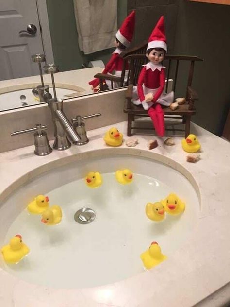 Elf Feeding Ducks, Elf On The Shelf Glide And Go, Elf On The Shelf With Ducks, Elf On The Shelf Feeding Ducks, Elf On The Shelf Ducks, Elf On The Shelf Bringing Gifts, Elf On The Shelf Rubber Ducks, Elf Om Shelf Ideas, Last Day Of Elf On The Shelf Ideas