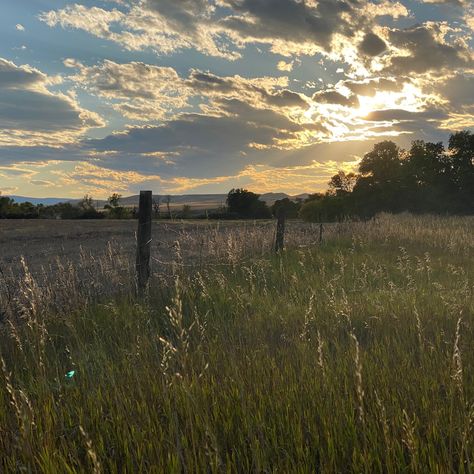 09/20 Fields of grass. Grass Field, Gods Creation, Photo Dump, Small Towns, Short Film, Film, Beauty, Instagram, Nature