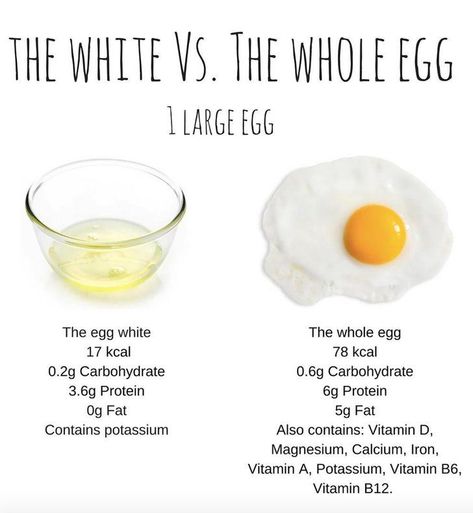 If You Only Eat Egg Whites, This Comparison Photo May Change Your Mind Egg Nutrition, Low Calorie Protein, Nutrition Quotes, Quest Nutrition, Popsugar Fitness, Whole Eggs, Nutrition Education, Egg White, Egg Whites