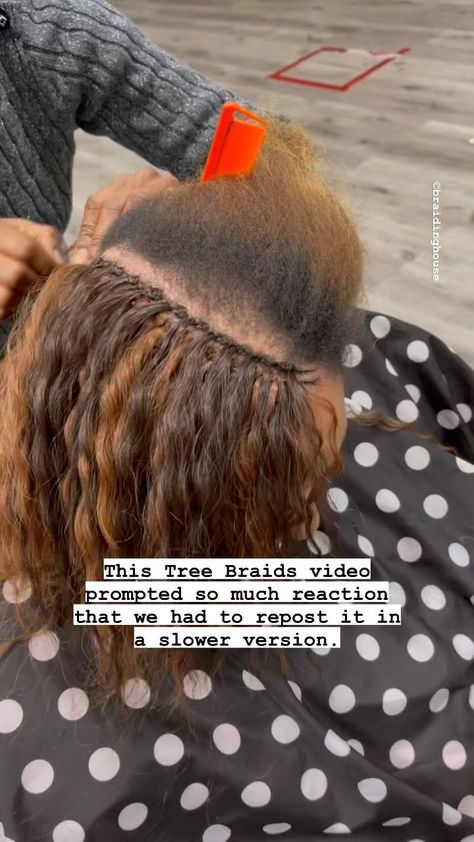 Tree Braids by BH Security Mall. Tel: 410-277-3320. Call us or simply walk in. Two locations: Security Mall: 410-277-3330 (parking lot… | Instagram Crochet Weave Hairstyles, Tree Braids Styles, Human Hair Crochet Braids, Human Hair Crochet, Crochet Hair Styles Freetress, Tree Braids Hairstyles, Invisible Braids, Crochet Braid Pattern, Hair Braid Patterns