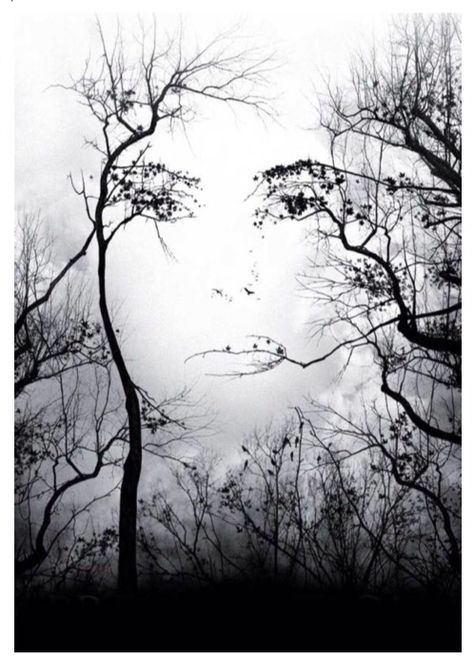 Woman's face in trees Image Illusion, Illusion Kunst, Photographie Art Corps, Boom Kunst, Illusion Paintings, Matka Natura, Optical Illusions Art, Raster Image, Hur Man Målar