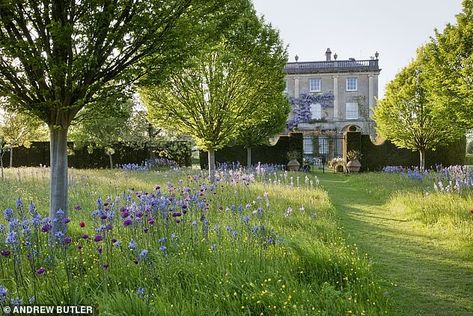 Highgrove Garden, Trees And Flowers, Wild Flower Meadow, Meadow Garden, French Country Garden, Royal Garden, Have Inspiration, Wildflower Garden, Up House