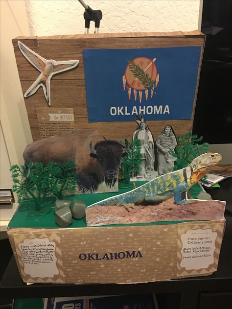 Oklahoma shoebox school project for Jared. Oklahoma State Float Project, Calendar Planning, Kindergarten Projects, School Project, School Projects, Coop, Shoe Box, Oklahoma, Float