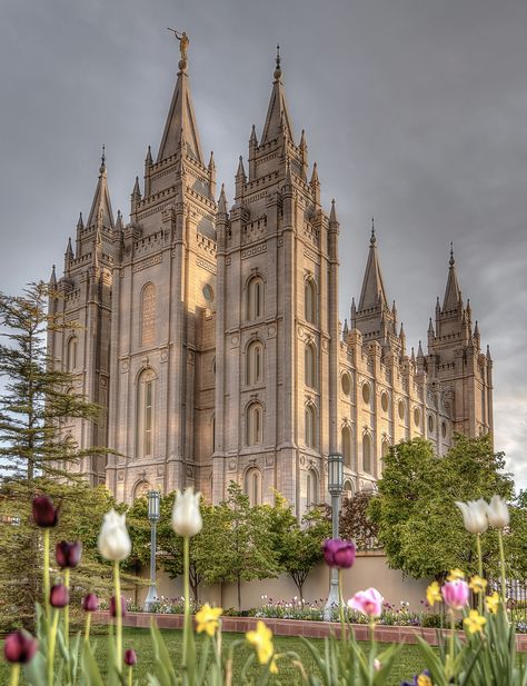 Salt Lake Temple Wallpaper, Lds Temple Wallpaper, Lds Aesthetic, Temples Lds, Lds Pictures, Lds Artwork, Lds Temple Pictures, City Images, Salt Lake City Temple