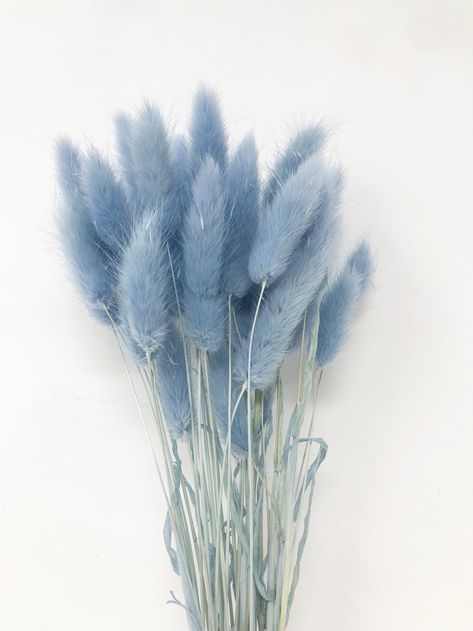 Blue Aesthetic, Blue Flowers, Feathers, Light Blue, Vase, Glass, Floral, Flowers, Blue