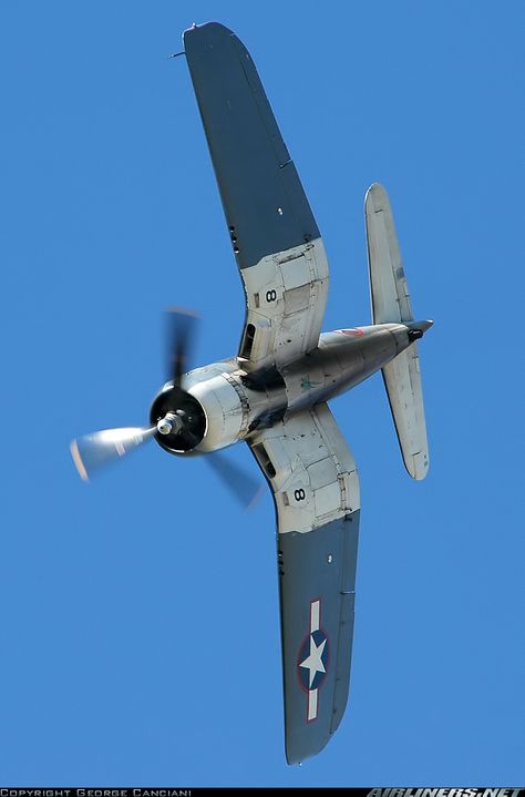 Vought (Goodyear) FG-1D Corsair aircraft picture Cool Airplanes, Ww2 Fighter Planes, Wwii Fighter Planes, F4u Corsair, Wwii Airplane, Wwii Fighters, Airplane Fighter, Wwii Plane, Military Airplane