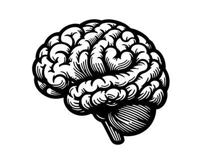 Check out new work on my @Behance profile: "Brain SVG" http://be.net/gallery/189475097/Brain-SVG Brain Sketch, Brain Svg, Brain Vector, Brain Drawing, Brain Illustration, Brain Logo, Svg Ideas, Vector Sketch, Working On Myself