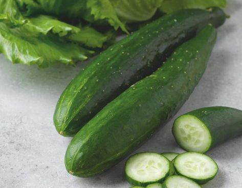 How to avoid bitter cucumbers - Suttons Gardening Grow How Bitter Cucumbers, How To Grow Cucumbers, Grow Cucumbers, Seed Starter Kit, Cucumber Plant, Skin Images, Cucumber Seeds, Growing Cucumbers, Seed Starter