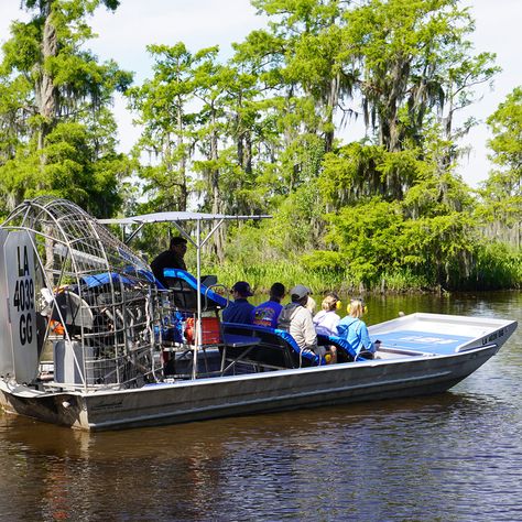 Small Airboat Swamp Tour, Swamp Tours By Airboat, Group Tours Everglades City Florida, New Orleans Swamp Tour, Nola Bachelorette, Gulf Coast Vacations, Air Boat, Homestead Florida, Swamp Tours, Florida Everglades, Marco Island Florida