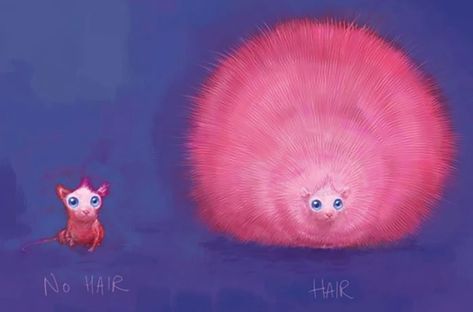 Pygmy Puff | Harry Potter Wiki | Fandom Pygmy Puff, Harry Potter Creatures, Harry Potter Sketch, Art Harry Potter, Creation Art, Potter Art, Harry Potter Drawings, Harry Potter Film, Harry Potter Obsession