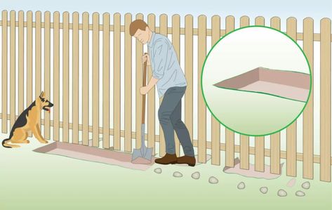 Dog Digging Under Fence Prevent, Stop Dog From Digging Under Fence, Fence Barrier For Dogs, How To Keep Dogs From Digging Out Fence, No Dig Fence Dogs, No Dig Dog Fence Ideas, Dog Digging Under Fence, Keep Dogs From Digging, Dog Window In Fence