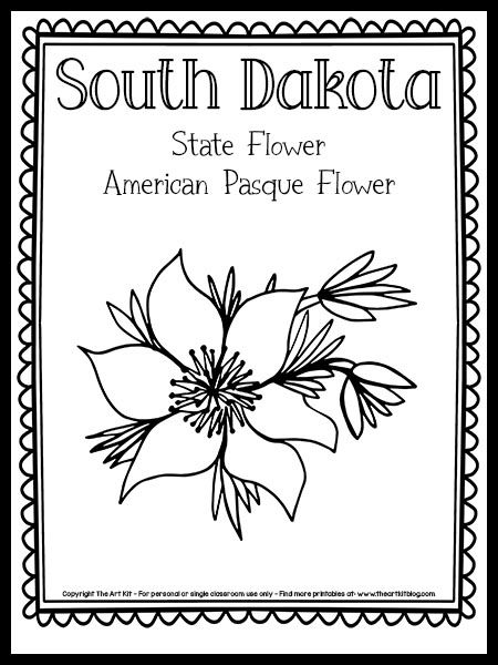 South Dakota State Flower, Pasque Flower Tattoo, South Dakota Tattoo Ideas, South Dakota Tattoo, Flower Free Printable, Pasque Flower, Flower Stencils, State Flowers, Social Studies Unit