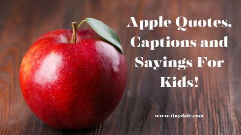 Tinydale Teacher Apple Quotes, Apple Puns For Teachers, Apple Cider Quotes, Apple Quotes Inspirational, Apple Sayings, Apple Picking Quotes, Apple Picking Caption, Apple Poem, Back To School Sayings