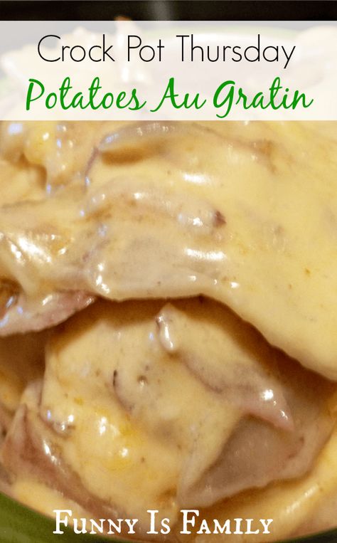 Crock Pot Potatoes Au Gratin Casserole Crock Pot Recipes, Augratin Potatoes, Crockpot Potatoes, Crockpot Stuffing, Casserole Crockpot Recipes, Potatoes And Ham, Chicken Ribs, Side Dishes For Ham, Au Gratin Potatoes