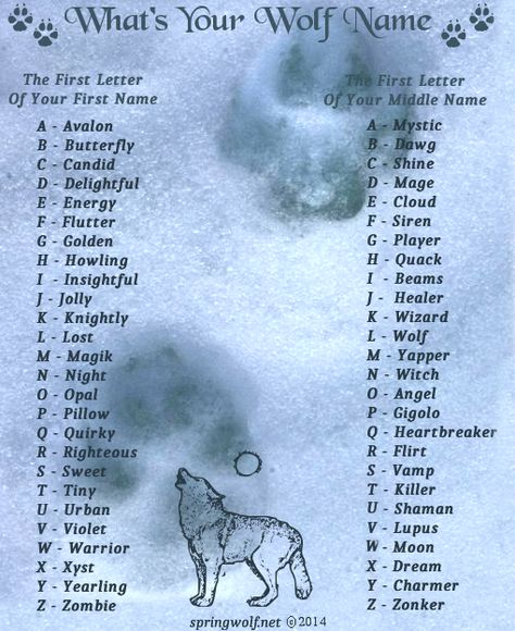 What’s Your Wolf Name | Springwolf Reflections Your Wolf Name, Funny Name Generator, Name Maker, Birthday Scenario, Fantasy Names, Wolf Quotes, Name Games, Funny Names, Name Generator