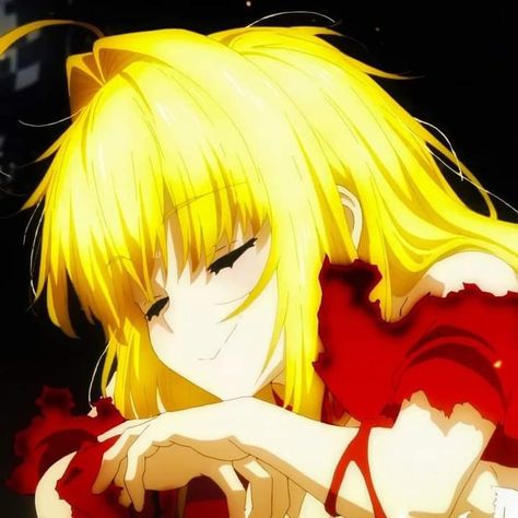 Nero Fate, Nero Claudius Fate, Nero Claudius, Type Moon, Fate Series, Stay Night, Fate Stay Night, Dog Memes, Memes