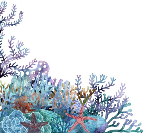 under ocean life element with watercolor painted , Coral reef Watercolor Coral Reef, Coral Painting, Under Ocean, Coral Reef Art, Graphic Shapes Design, Sea Illustration, Ocean Backgrounds, Coral Watercolor, Coral Background