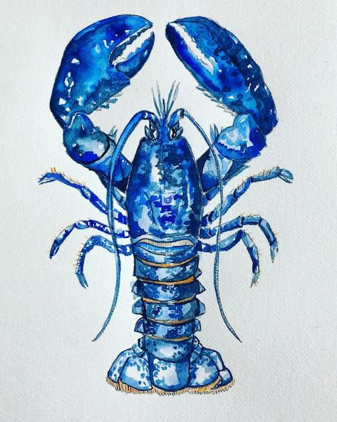 Lobster Artwork, Lobster Tattoo, Lobster Art, Blue Lobster, Lobster Print, Line Art Flowers, Coastal Wallpaper, Learn Watercolor Painting, Abstract Painting Techniques